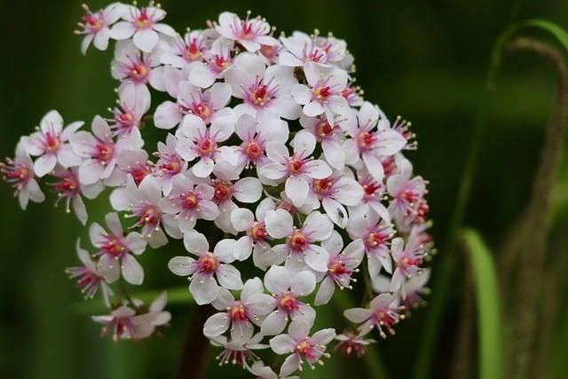 銀行帳戶被盜用怎麼處理？