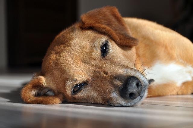 犯睏怎麼辦？