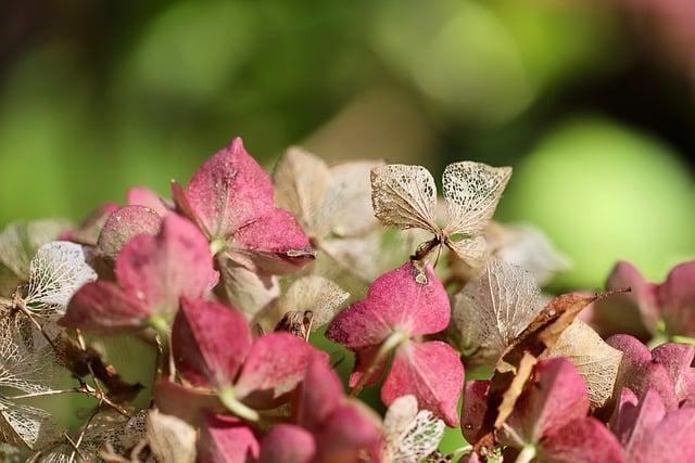 自然人憑證可以做什麼用途？