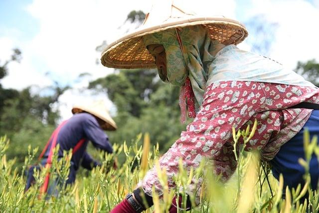 在台灣，怎麼知道自己房子值多少錢？