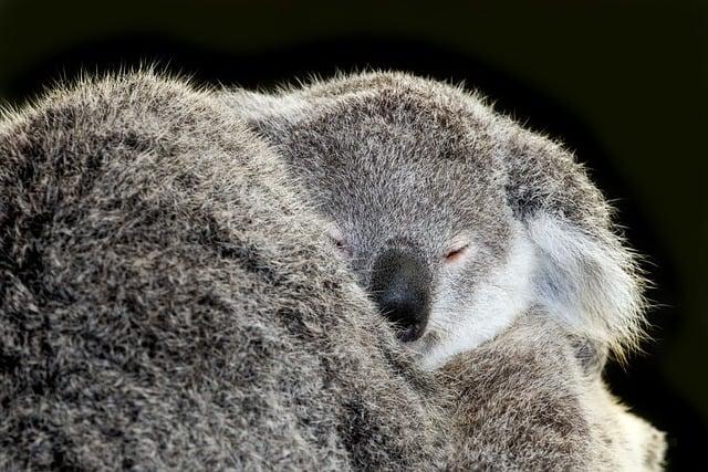 深度睡眠會打呼嗎？