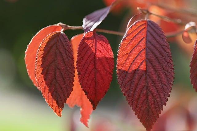 什麼叫做紅眼班機？