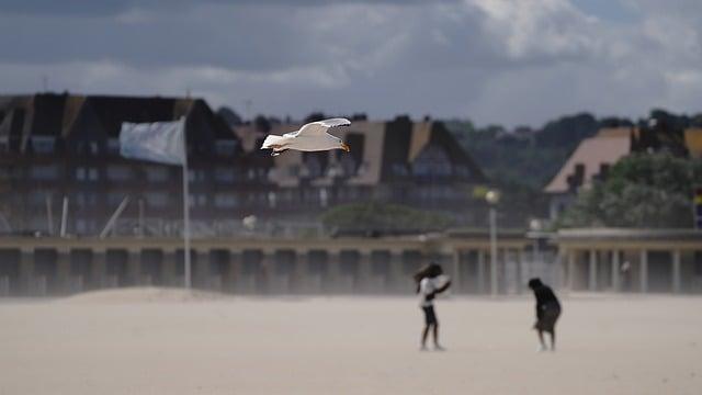 風速多少飛機不能降落？