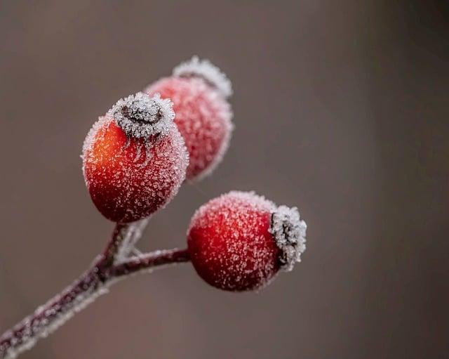 雪如何變成冰？