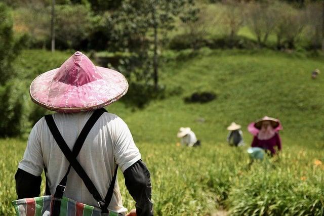 為台灣得到的第一面奧運金牌是誰？