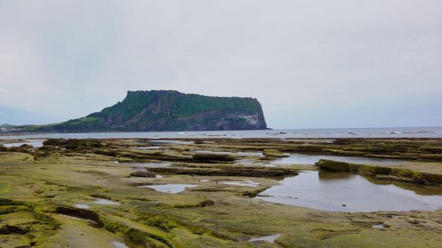 海苔會變胖嗎？